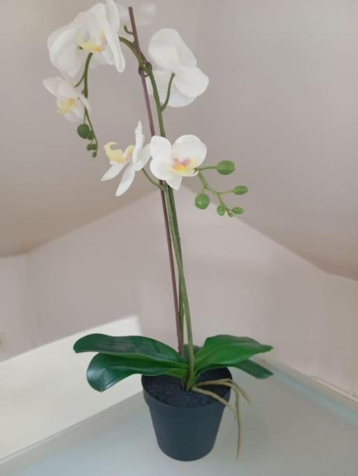 شقة Lalique 540 Hypercentre رانس المظهر الخارجي الصورة